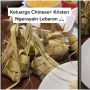 Viral Keluarga Non Muslim Ikut Rayain Lebaran, Fasih Banget Bikin Ketupat