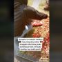 Nyesek! Diajak Ziarah Makam, Wanita Ini Baru Tahu Alasan Ditinggal Mantan