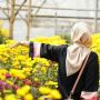 10 Tempat Wisata Semarang: Setiya Aji Flower Farm hingga Bukit VW
