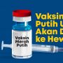 INFOGRAFIS: Perkembangan Vaksin Merah Putih Unair