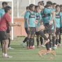 Persita Datangkan Pemain Keturunan Jepang Eks Timnas Indonesia untuk Arungi Liga 1 2024/2025