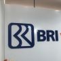 BRI Ventures dan Potensi Besar Startup Indonesia
