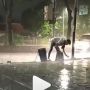 Salut! Jualan Sepi Terguyur Hujan, Pedagang Punguti Sampah Pas Tutup Lapak