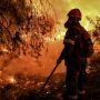 Kebakaran Hutan di Turki, Warga Perumahan Dievakuasi