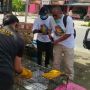 Warga Agam Selamatkan 2 Ekor Kukang di Tiang Listrik, Begini Kondisinya