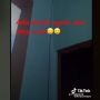 Racun Tikus Salah Sasaran, Wanita Ini Panik Ada Darah Netes di Atap Rumah