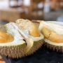 4 Kebaikan Buah Durian Bagi Kesehatan, Atasi Insomnia!