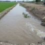 60 Ha Sawah di Mukomuko Terendam Banjir, Mentan Imbau Petani Ikut Asuransi