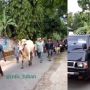 Bak Sultan, Pria Seserahan Nikah Bawa Gabah 7 Mobil hingga Hewan Ternak