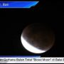Link Live Streaming Gerhana Bulan Total di Denpasar Bali, Dijamin Jelas!