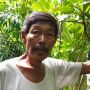 Inspiratif! Dari Jualan Tanaman Jumari Bisa Untung Rp51 Juta Sehari