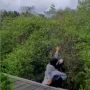 Emak-emak Kompleks Rumpi, Berujung Terperosok ke Hutan Mangrove
