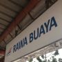 Asal Usul Nama Rawa Buaya Jakarta, Benarkah Dulu di Sana Banyak Buaya?