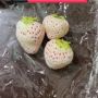 Dapat Stroberi Putih Jepang dari Petani Langsung, Ternyata Begini Rasanya