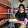 Lapis Legit Khas Lampung Ini Dibuat Pakai Telur Herbal
