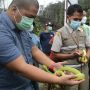 10 Satwa Liar Dilepasliarkan ke Habitat Alami di Papua