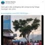 Heboh Video Pedagang dan Pembeli di Magetan Adu Jotos Gegara Makan Sate