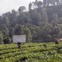 Selain Ganjil Genap, Satgas Covid-19 Bubarkan Kerumunan di Puncak Bogor