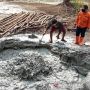 Semburan Lumpur di Cirebon Berbahaya, ESDM: Hewan Saja Mati