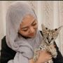 5 Artis Punya Kucing Mahal, Punya Rachel Vennya Bisa Buat Beli Rumah