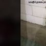 Lama Gak Pulang, Cewek Terkejut Rumah Tetiba Menyatu dengan Bangunan Lain