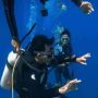 Ustadz Abdul Somad Menyelam Melihat Keindahan Bawah Laut Wakatobi