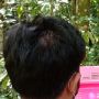 2 Kukang dan 1 Ekor Elang Brontok Dilepasliarkan ke Hutan