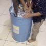 Satu Keluarga Bongkar Celengan Koin Hasil Tabungan 5 Tahun, Jumlahnya Bikin Minder
