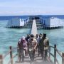 Jadi Negara Kepulauan, RI Miliki Potensi Untuk Kembangkan Ekonomi Biru