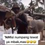 Jalan Utama Desa Dikepung Tenda Nikahan, Aksi Warga Nyelonong Giring Sapi Jadi Perdebatan