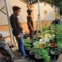 Budidayakan Tanaman Ganja dengan Cara Hidroponik, Rumah di Brebes Digerebek Polisi