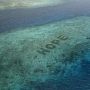 Lindungi Ekosistem Laut, Inilah Restorasi Terumbu Karang Terbesar di Dunia