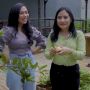 7 Artis Muda Punya Rumah Miliaran, Prilly Latuconsina Miliki Kebun Organik