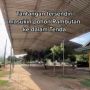 Viral Kebun Rambutan Disulap Jadi Tempat Nikah Super Elegan, 'Impian Calon Pengantin'