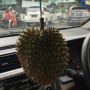 Astaga! Viral Durian Digantung Jadi Pengharum Mobil, Penampakannya Meresahkan