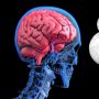 Terpopuler Kesehatan: Mantan Manusia Terkuat Kini Kesulitan Berjalan, Lesi Otak Seperti Ruben Onsu Bisakah Disembuhkan?