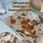 Makan Pecel Ayam, Cewek Ini Temukan Tamu Tak Diundang di Dalam Sambal