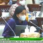 Sri Mulyani Ramal Ekonomi RI di Semester I 2021 Rebound 3,3 Persen