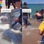Viral Momen Pelepasan Penyu Raksasa ke Laut, Aksi Pria Ini Naikin Penyu Bikin Salfok