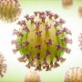 Kasus Virus Corona Melonjak Tanpa Diiringi Kematian, Satgas Covid-19 Singgung Hybrid Immunity