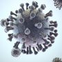 Apakah Varian Omicron Ancaman Terakhir Virus Corona? WHO Jawab Kapan Pandemi Akan Berakhir