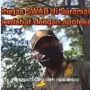 Viral Apoteker Debat dengan Petugas Penyekatan Suramadu, Tanyakan Surat Hasil Swab