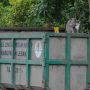 Monyet Mencari Makanan di Tumpukan Sampah