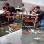 Bukan Main! Viral Warung Tawarkan Makan Rujak Bareng Ikan Koi, Tuai Komentar Kocak
