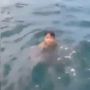 Viral Anak Terapung-apung di Laut Diselamatkan TNI AL