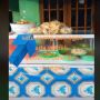 Lihat Warung Tetangga Sebelah Laris, Ibu Ini Ikut-ikutan Jualan Rebut Pelanggan