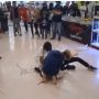 Viral Pria Digigit Ular saat Gelar Pameran Reptil, Pengunjung Ketakutan