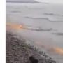Fenomena Ombak Api di Sepanjang Pantai, Warganet: Paling Kena....