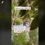 Gegara Simpan Foto Mesra sama Mantan, HP Auto Melayang Dilempar Pacar ke Kolam