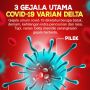 Virus Corona Varian Delta Masuk Sulsel, 10 Warga Terpapar Begini Kondisinya